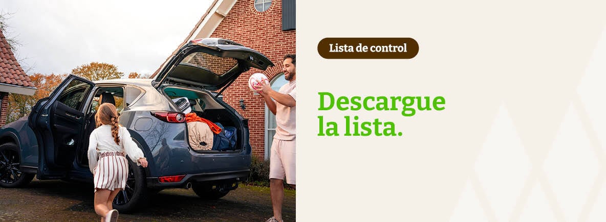 Descargar: vacaciones seguras